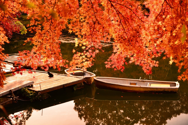 震生湖「震生湖の秋の風物詩」